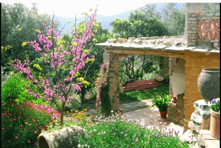 Mountain House Surrounded By Nature Bayacas Exterior photo